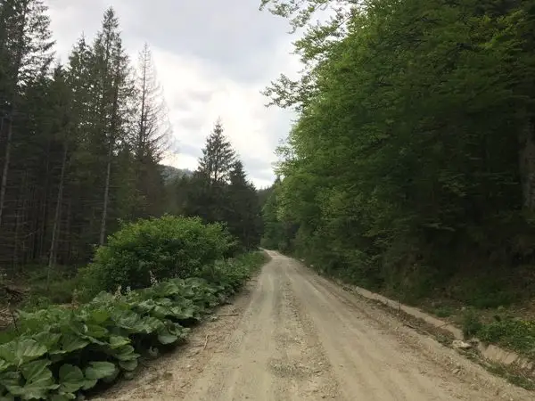 sat Gura Râului (La Pisc) - Cheile Cibinului - Canton Silvic Niculeşti