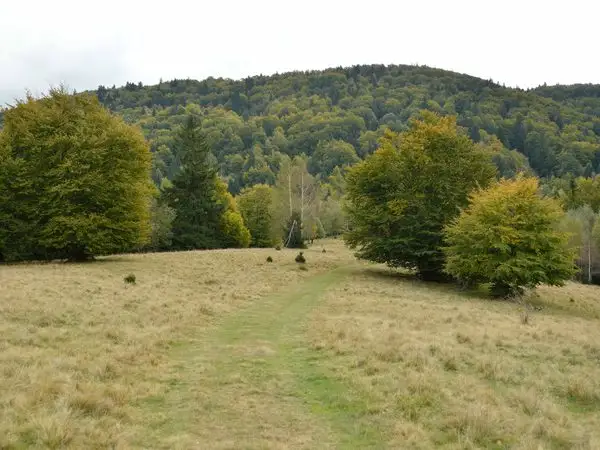 Pasul Oituz - Vârful Înzăpezitu Mare (Neagu) - Vârful Astagul Mare (Stogul Mare) - Vârful Lăcăuţi - Pasul Holom (Deluşor)