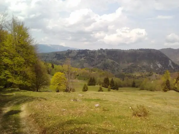 Podu Dâmboviţei - Curmătura Ghimbavului - Canton Forestier Andolia