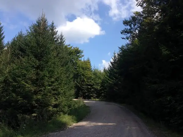Păpăuţi - Valea Păpăuţi - pasul dintre Păpăuţi şi Comandău (creasta principală)