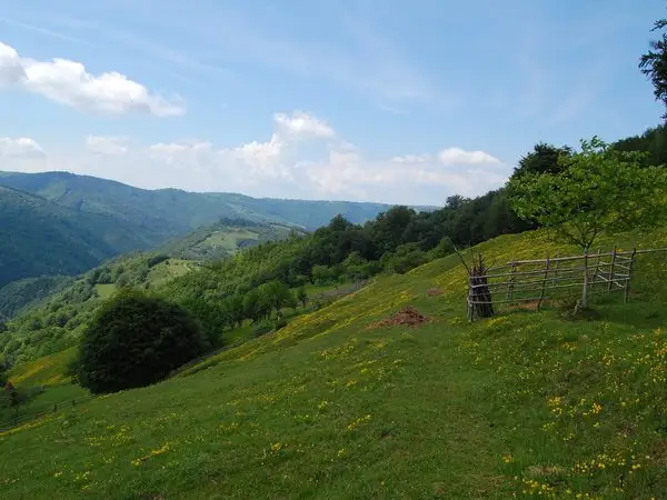 Valea Grădiştea - Cetatea Feţele Albe - Valea Albă