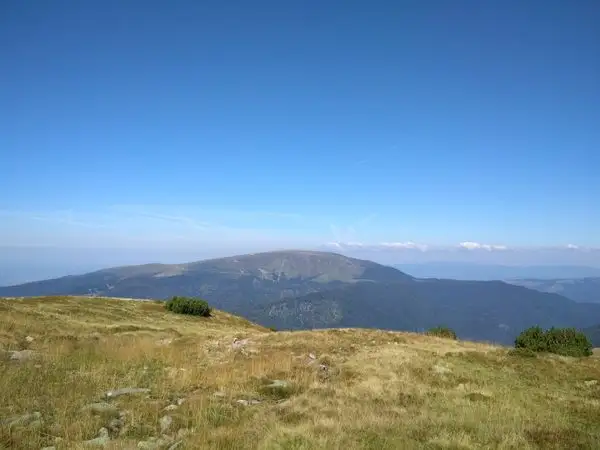 Poiana Mărului - Vârful Căleanu - Şaua Plaiului