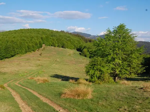 Costeşti - Vârful Porumbelu Mare - Vârful Godeanu
