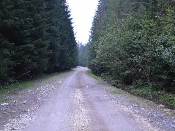 Dorna-Arini (Râul Bistriţa) - culmea Munţilor Bistriţei - Gura Bârnarului (Râul Bistriţa)