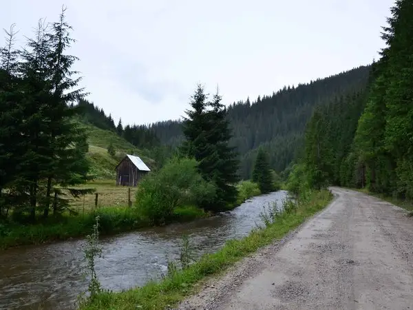 Cârlibaba - culmea Obcinei Mestecănişului - Moldova-Suliţa
