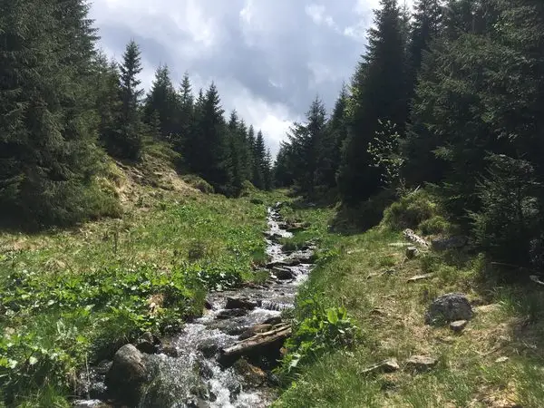 fosta Cabană Fântânele - Cantonul Silvic Măgura - Şaua Şerbănei