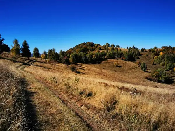Moara de Pădure - Şaua Prislop - Cetatea Lita - Moara de Pădure
