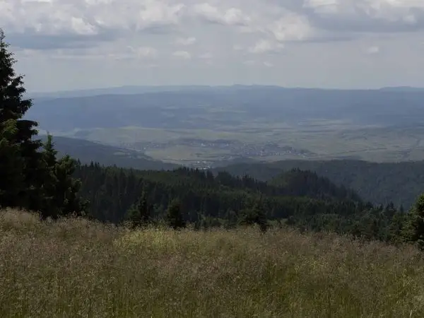 Pasul Oituz - Vârful Negru - Gâtul Apa Lină