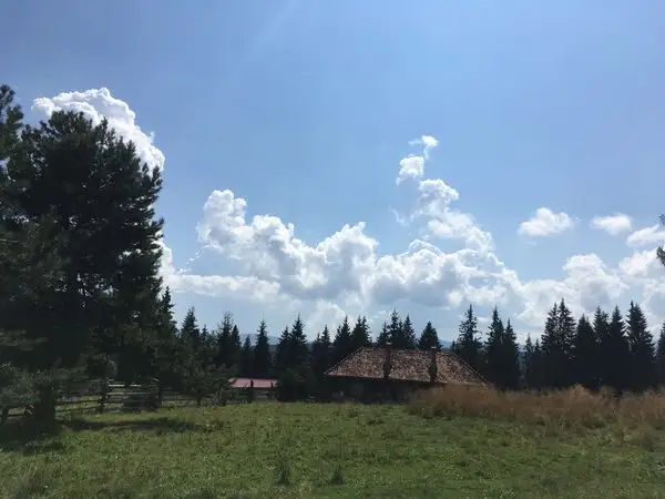 sat Jina - Vârful Guga Mare - Vârful Frumoasa - Vârful Cindrel
