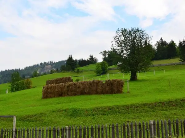 Breaza - sub culmea Obcinei Feredeului - Sadova