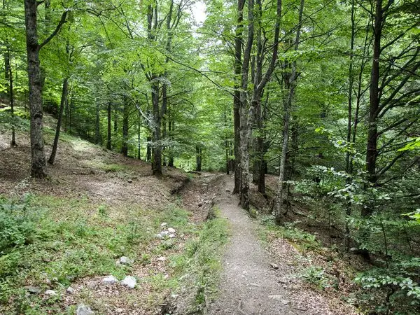 Cabana Garofiţa Pietrei Craiului - Poiana Tămăşel