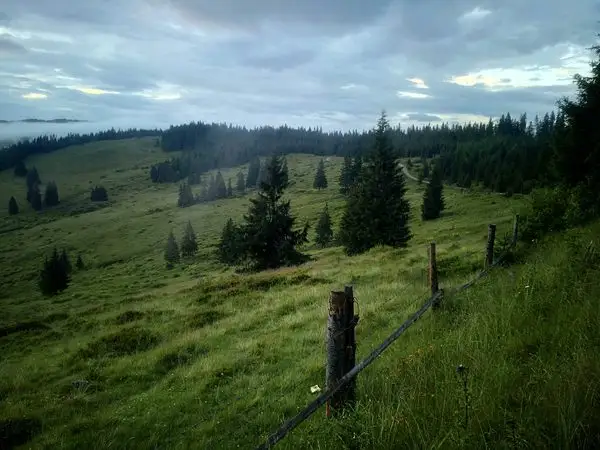 Cabana Giumalău - Poiana Ciungi - Pasul Mestecăniş