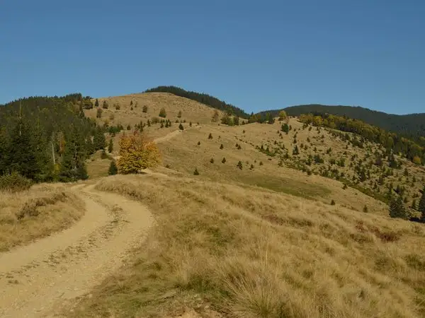 Zăbala (Castelul Mikes) - Vârful Lăcăuţi - Covasna
