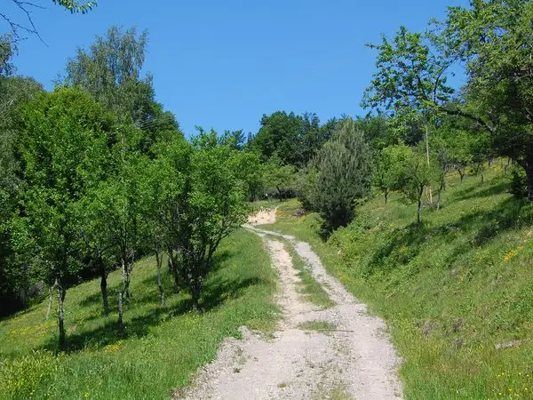 Ohaba-Ponor - Valea Morii - Boşorod