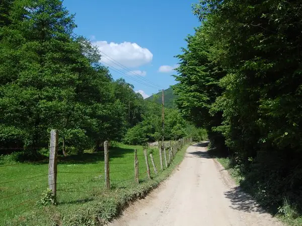 Luncani - Valea Alunului - Prihodişte