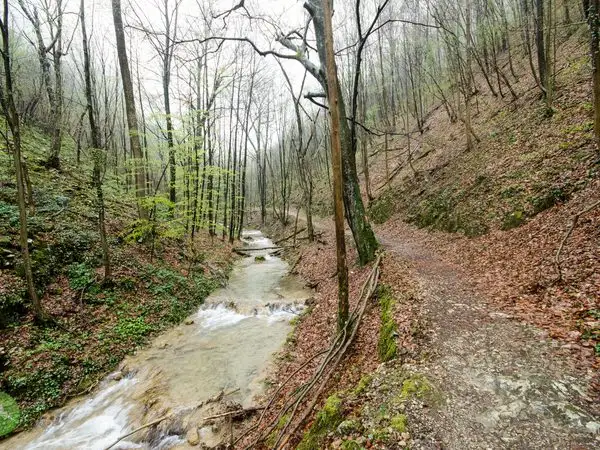 Sasca Montană - Cascada Șușara