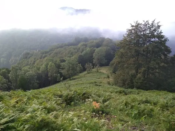 Izbucul Cernei - Cracul Fântânii