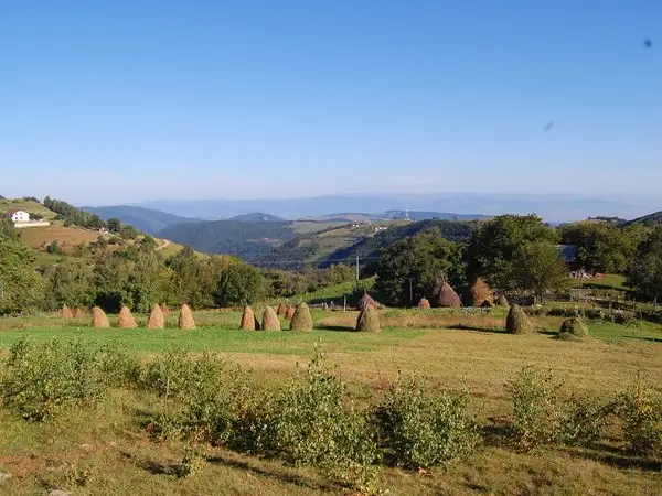 Săsciori - Curmături - Cabana Şureanu