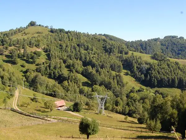 Săsciori - Curmături - Cabana Şureanu