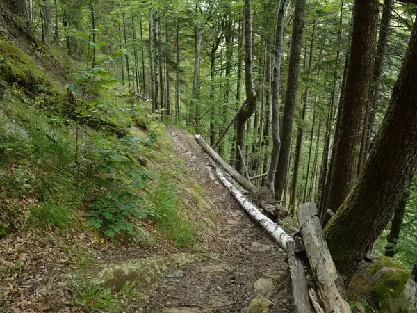 Podu Şchiopului - Zboina Frumoasă - Căldările Zăbalei