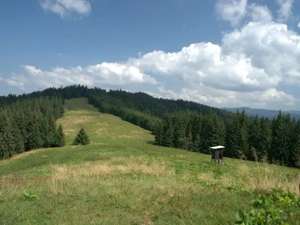 Pasul Dălghiu (DJ103A) - Vârful Brusturos -  pasul dintre Covasna şi Comandău (DC14)