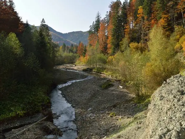 Greşu (Casa lui Neagu) - Valea Putnei - Şaua Poieniţa