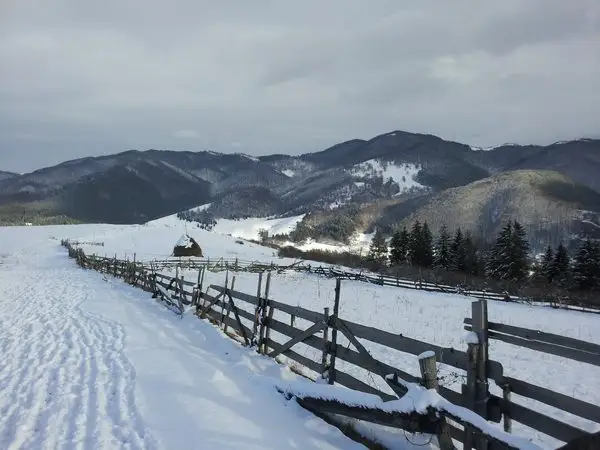 traseul CA - Piatra Bănişorului - Arborele Sequoia - lângă Vârful Bogdanului