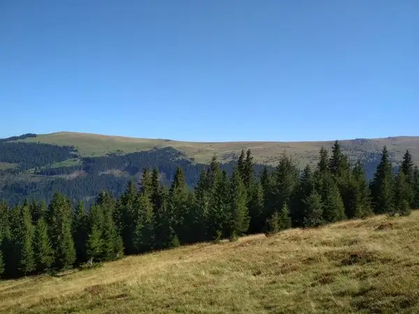 Poiana Mărului - Vârful Căleanu - Şaua Plaiului