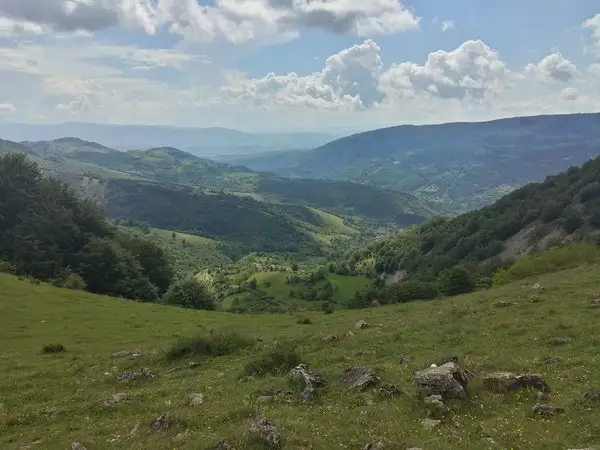 Podul Ţăsnei - Prisăcina - Podul Ţăsnei