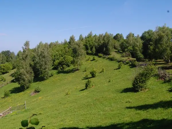 Costeşti - Vârful Porumbelu Mare - Vârful Godeanu