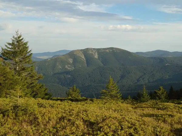 Pasul Oituz - Vârful Înzăpezitu Mare (Neagu) - Vârful Astagul Mare (Stogul Mare) - Vârful Lăcăuţi - Pasul Holom (Deluşor)