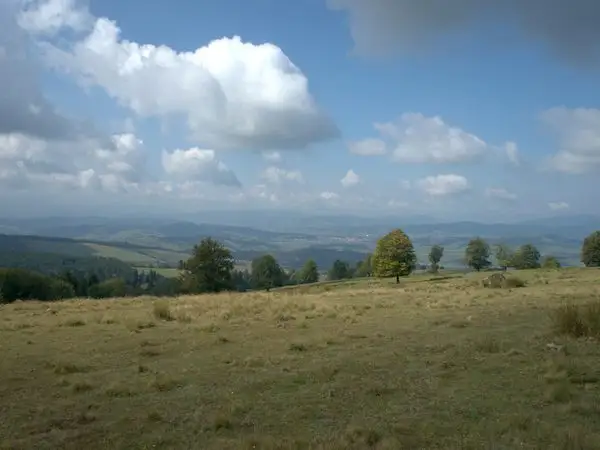 Barcani - Crucea Toader Bocârnea - intersecţia cu creasta principală (traseul BR)