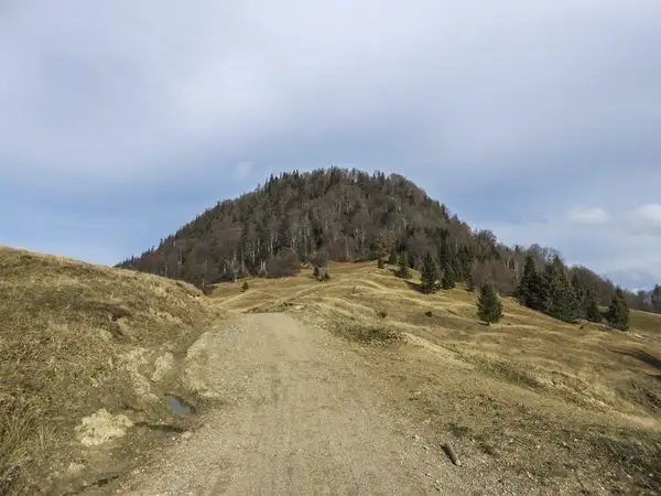 Săcele - Muchia Cărbunarilor - Cabana Renţea