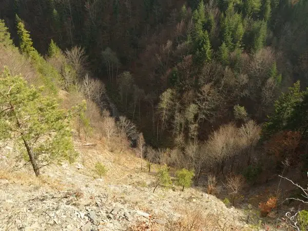 Baza Salvamont Păuleşti - Muntele Coza - Şaua Golici