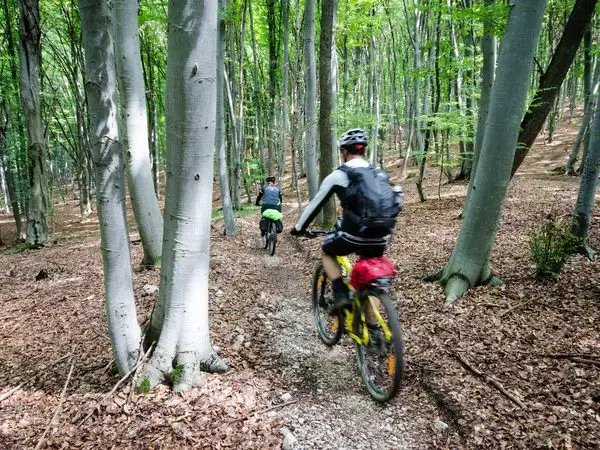 MTB prin Colinele Transilvaniei