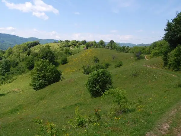 Valea Grădiştea - Cetatea Feţele Albe - Valea Albă