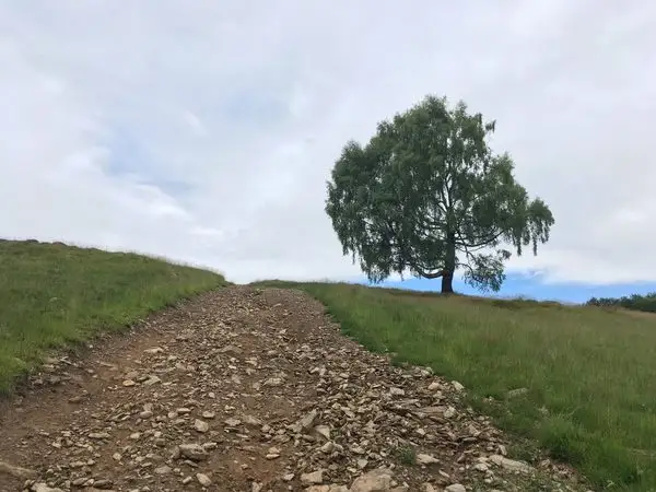 Valea Morii - Vârful Măgura