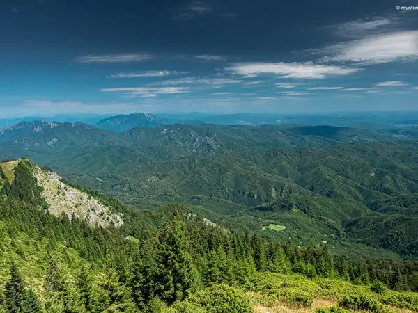 Munții Buila-Vânturarița: Șaua Ștevioara, Vf. Buila și Curmătura Builei