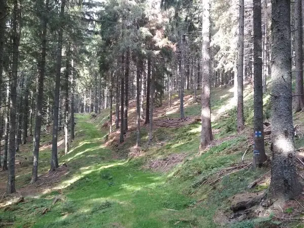 Cracu Pip (La Văcarie) - Sub Vârful Şeroni - La Lemn (spre Cuntu)