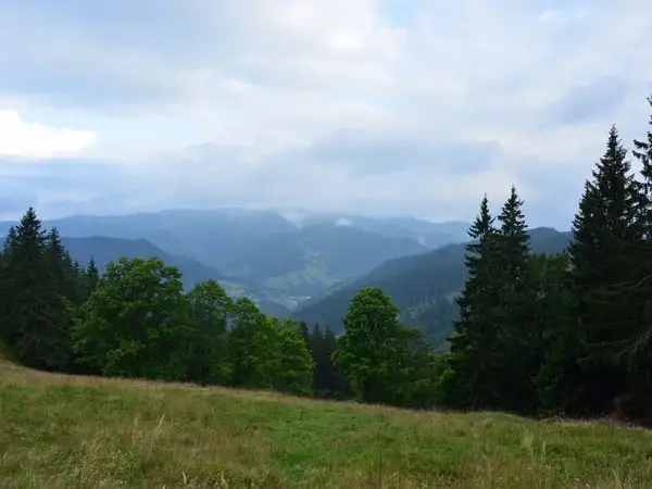 Câmpulung Moldovenesc - Chiril - Câmpulung Moldovenesc