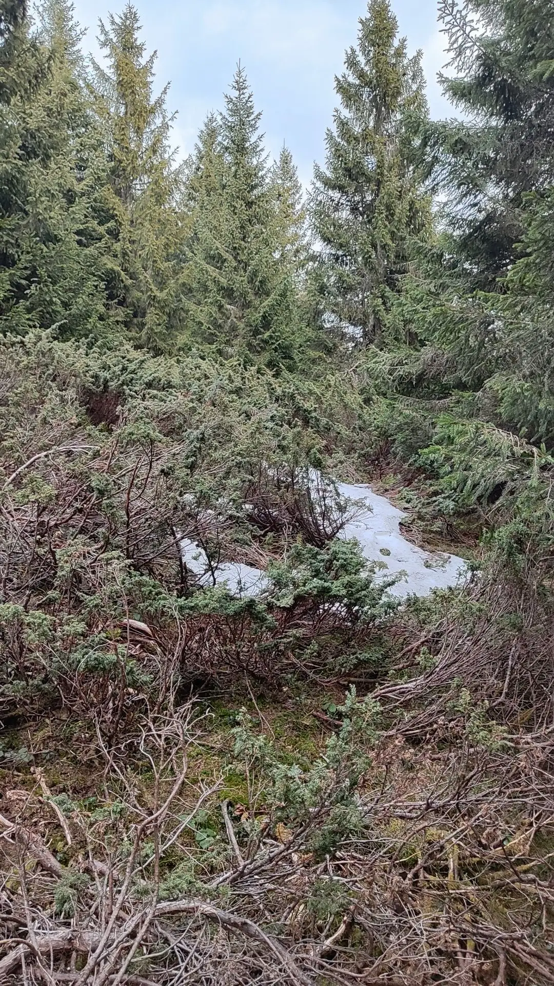 Poteca obstructionata și nemarcata