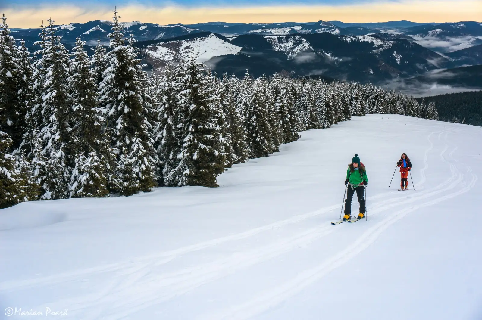 Munții Rodnei: Pasul Rotunda - Culmea Gajei - Vf. ineuț