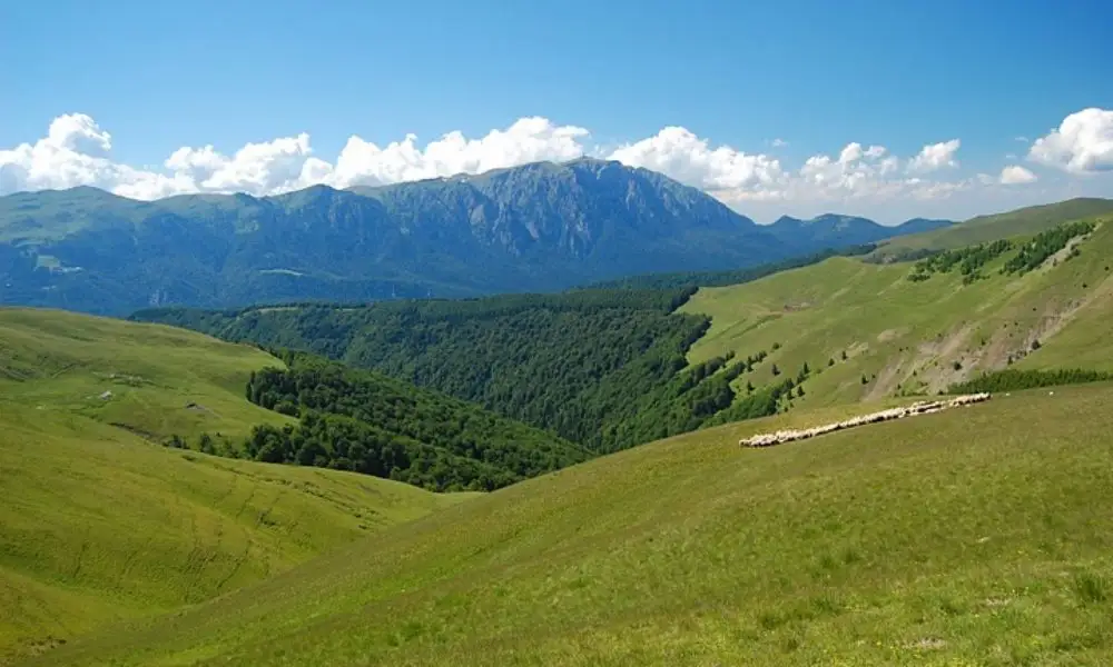 Creasta Baiului in Alergare