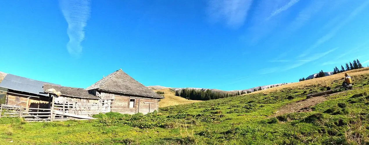 Cabana Voina - Plaiul lui Pătru - Vârful Păpușa - Cabana Cuca - Cabana Voina