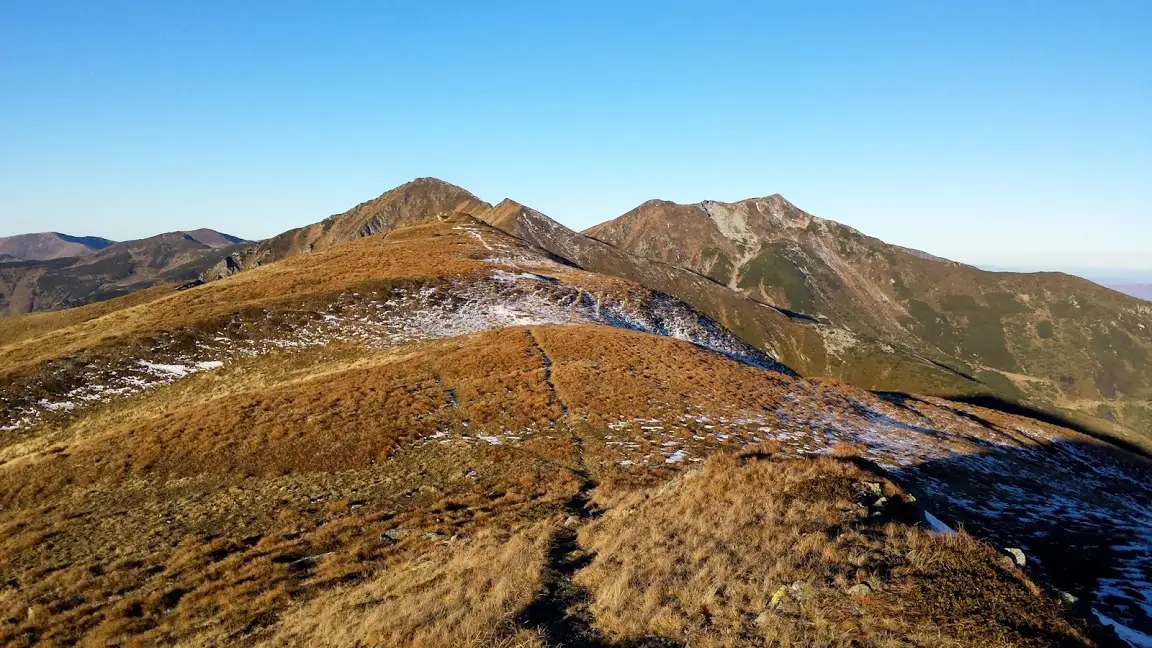 Telescaun Borșa - Vf. Gărgălău