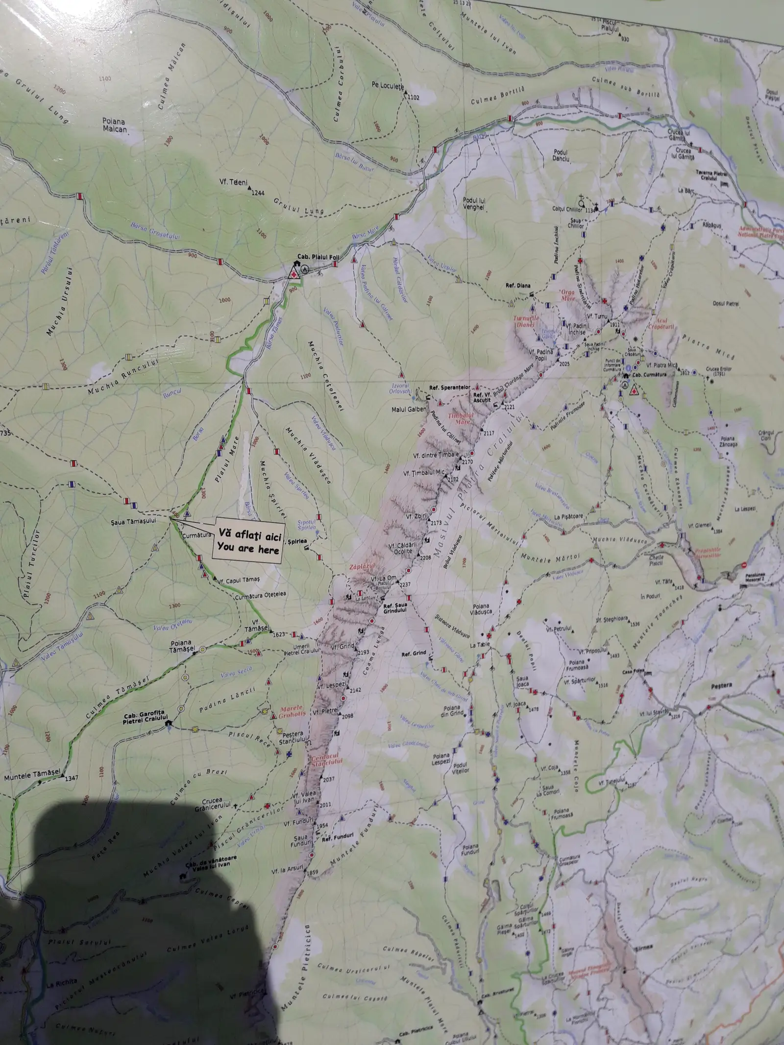 Plaiul Foii - Valea Tamasului - Spirla (traseu nedefinitivat din cauza zapezii mari)