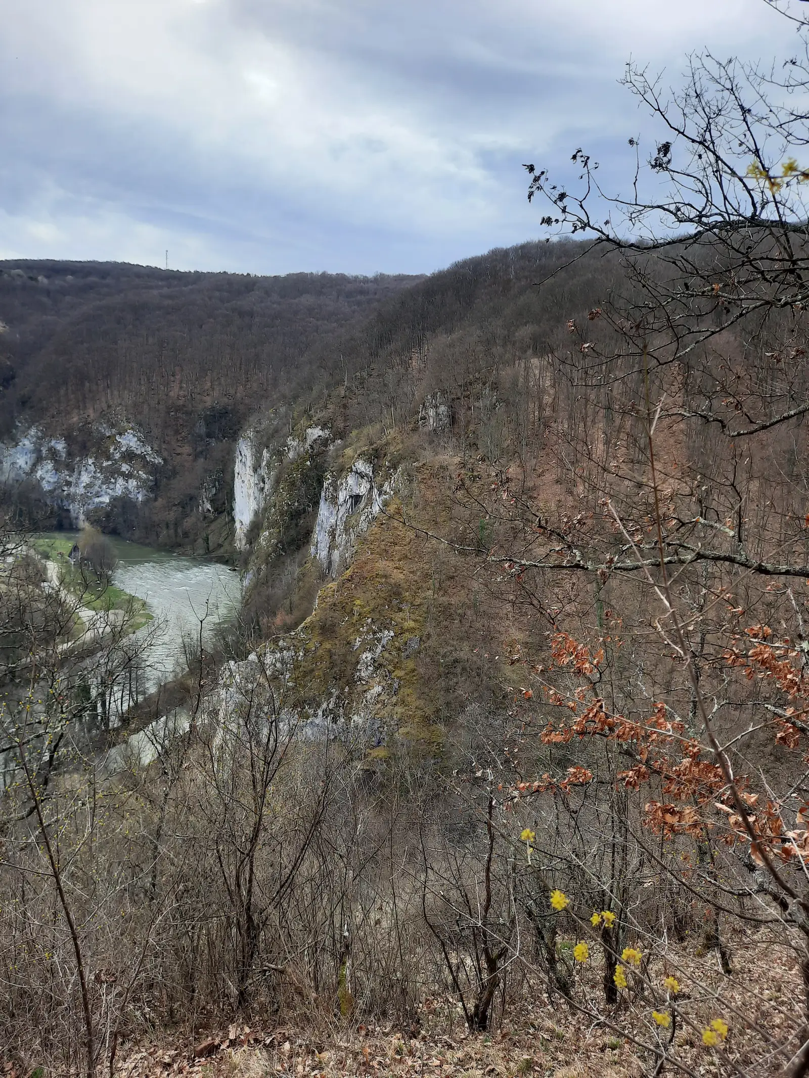 Șuncuiuș - Cheile Mișidului