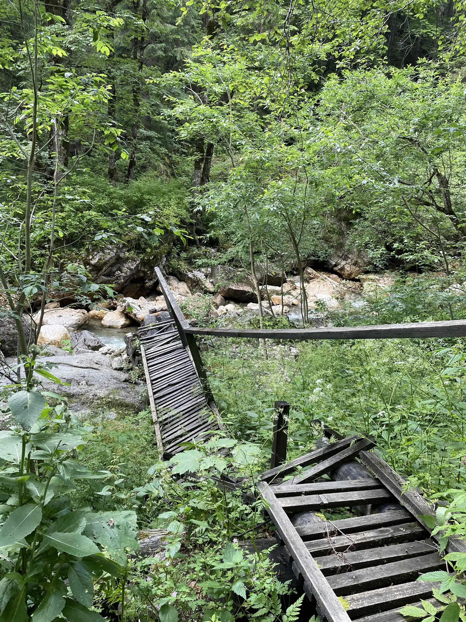 CHE Dobresti-Lacul Scropoasa-Camping Zanoaga