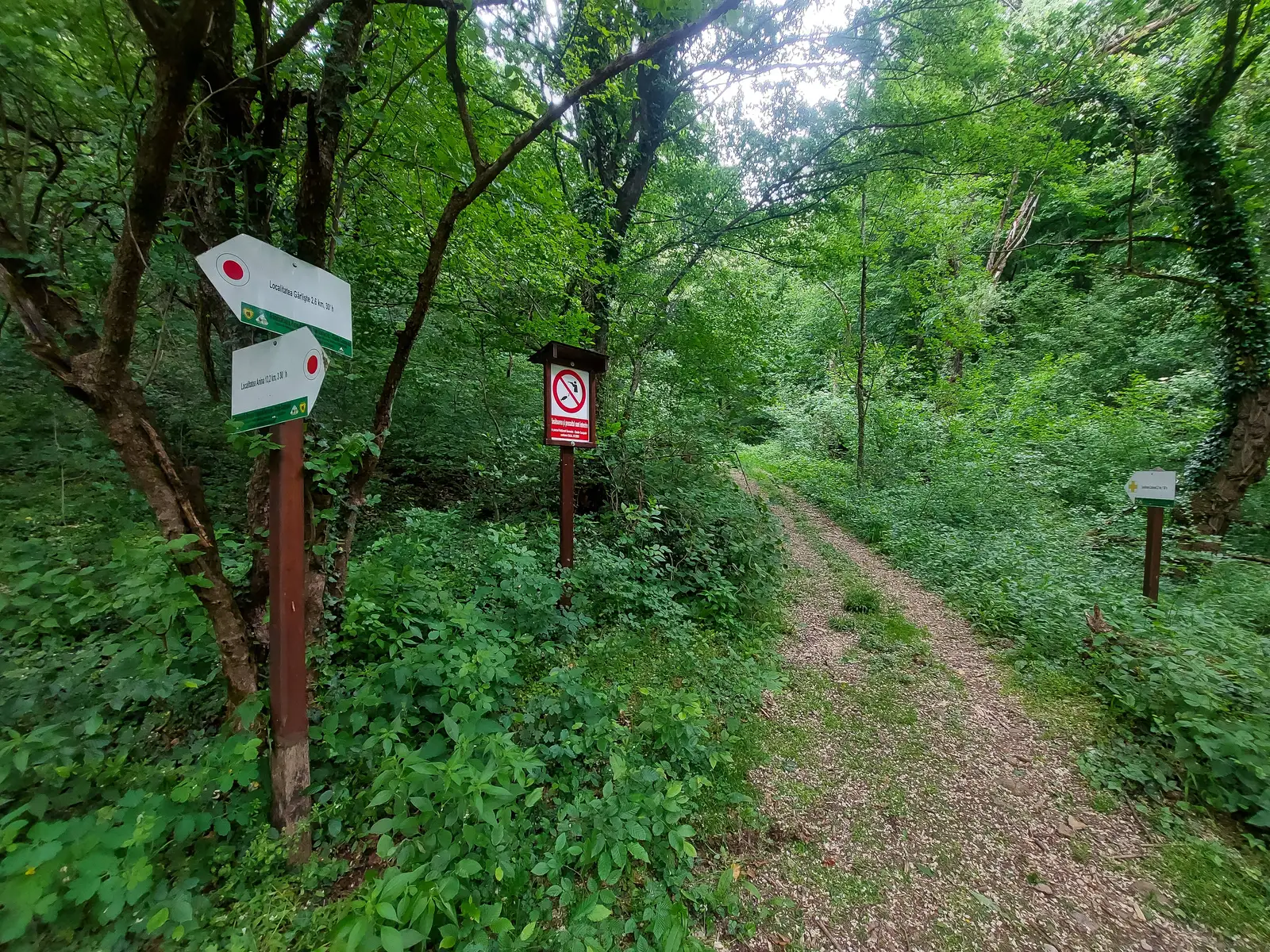 Gârliște01: Gârliște - Carașova