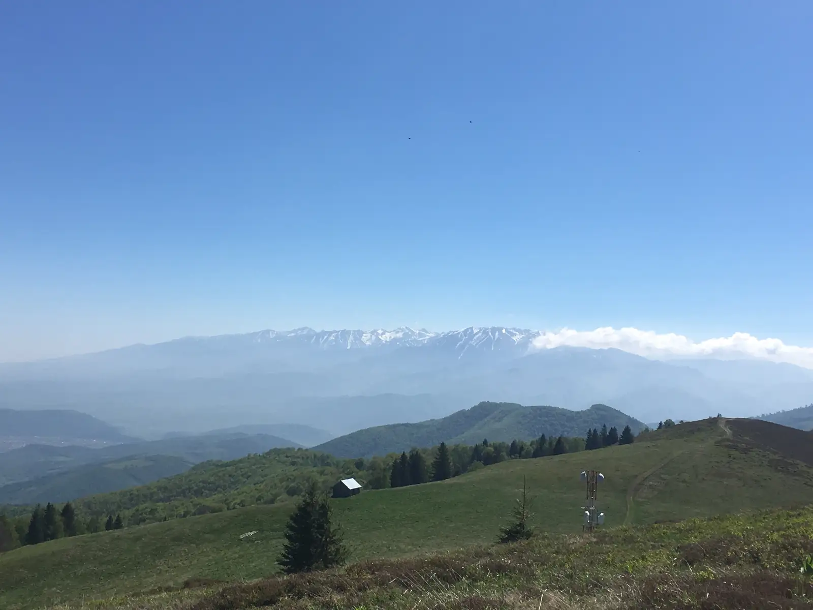 oraş Cisnădie - Şaua Bătrâna - Vârful Cindrel - Cabana Oaşa
